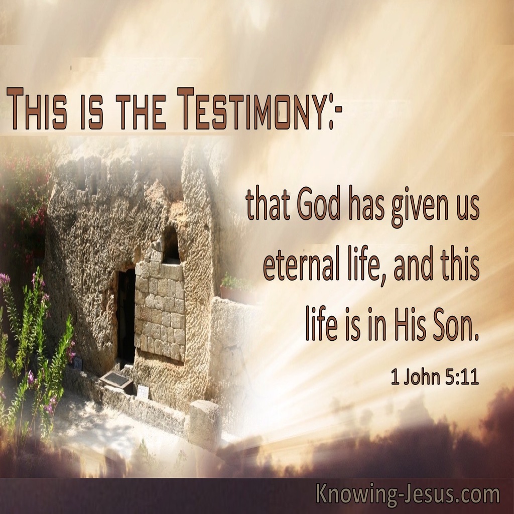 1 John 5:11 God Has Given Us Eternal Life In His Son (windows)07:02